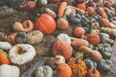 High angle view of pumpkins for sale