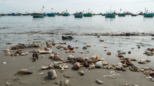 High angle view of people on beach