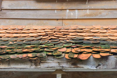 Stack of logs against wall in forest