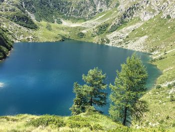 High angle view of lake amidst trees