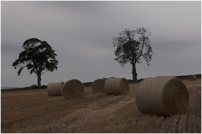 Hay bales on field against sky