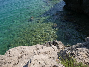 High angle view of rocks on shore