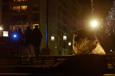 Rear view of people standing on illuminated street at night