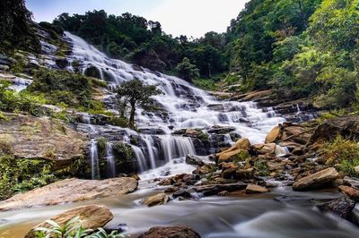 Scenic view of waterfall in forest
