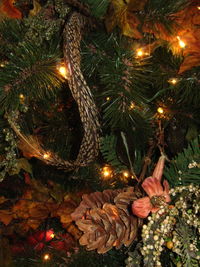 Close-up of illuminated christmas tree at night