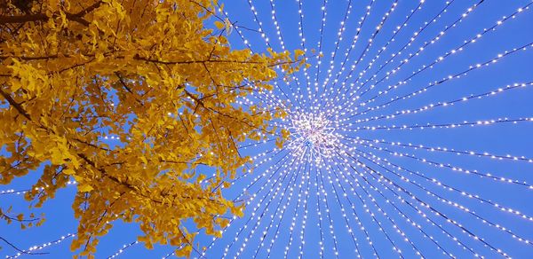 Low angle view of autumn trees against clear blue sky