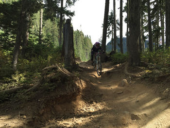 People riding bicycle in forest