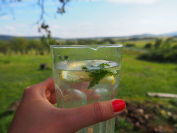 Cropped hand of woman holding drink against field