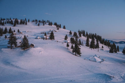 Scenic view of snow covered landscape