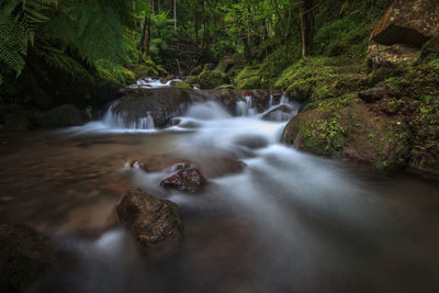 Stream flowing through rocks in forest