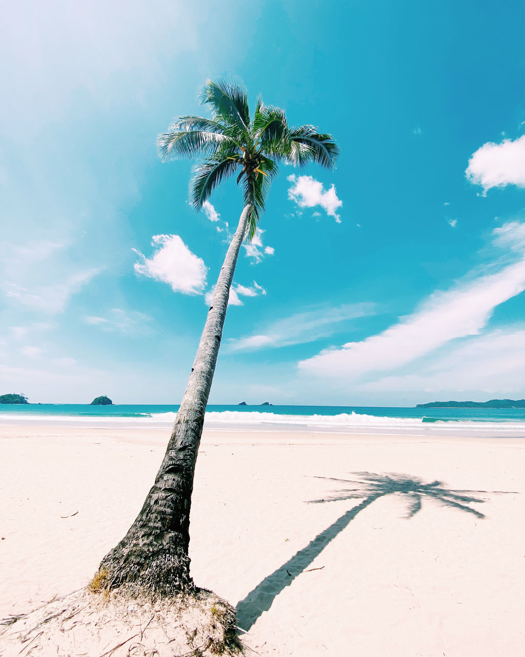 land, palm tree, tropical climate, sky, nature, beach, tree, water, sand, sea, beauty in nature, cloud, plant, scenics - nature, ocean, shore, environment, coconut palm tree, tranquility, travel destinations, blue, landscape, coast, tropical tree, tranquil scene, no people, travel, body of water, outdoors, holiday, wind, vacation, tree trunk, trip, island, trunk, day, idyllic, sunlight, horizon, tourism, summer