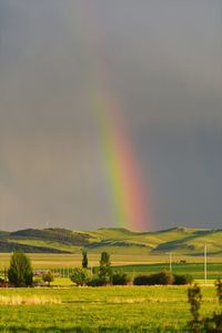 Scenic view of field against rainbow in sky