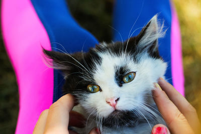 Close-up of cat