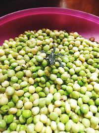 High angle view of eggs in container