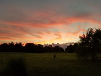 Scenic view of field against sky during sunset