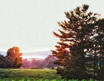 Scenic view of grassy field against sky