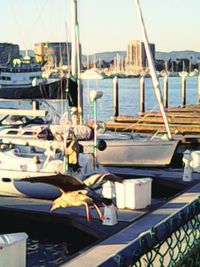 Boats in harbor