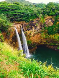 River flowing through forest
