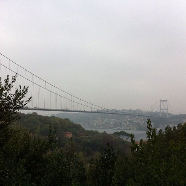 connection, bridge - man made structure, tree, suspension bridge, engineering, built structure, bridge, electricity pylon, power line, clear sky, sky, cable, copy space, architecture, nature, tranquility, tranquil scene, river, scenics