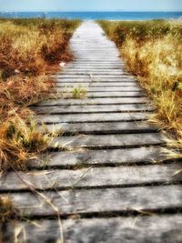 Surface level of boardwalk on land