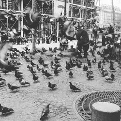 High angle view of people at night
