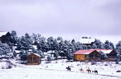 Houses on snow covered field