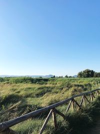 Scenic view of field against clear sky