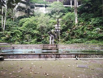 Trees and wet plants by building during rainy season