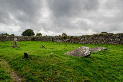 View of sheep on field against sky