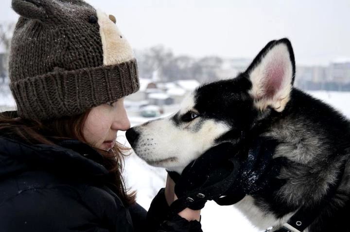 CLOSE-UP OF PERSON WITH DOG IN WINTER