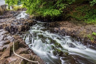 Stream flowing through rocks in forest