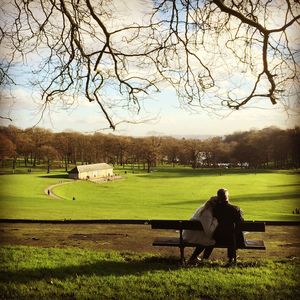 Park bench on grassy field in park