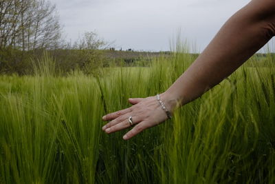 The woman's hand touches the grain