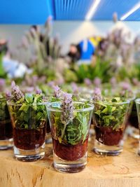 Close-up of potted plant on table