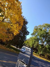 Trees by road against sky