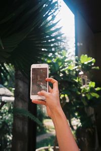 Close-up of hand holding mobile phone