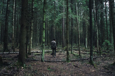 Rear view of man amidst trees in forest