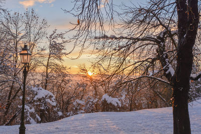 Bare trees on snow covered landscape during sunset