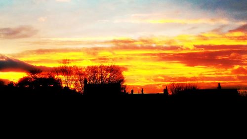 Silhouette of trees at sunset