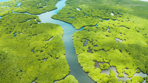 High angle view of green land