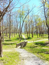 Park bench by trees on field against sky