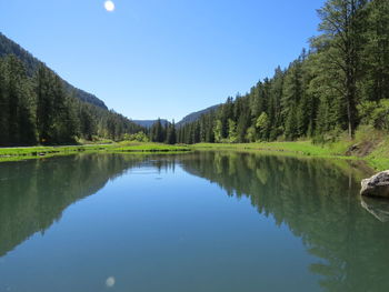 Scenic view of lake by trees against clear sky