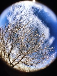 Low angle view of bare tree against cloudy sky