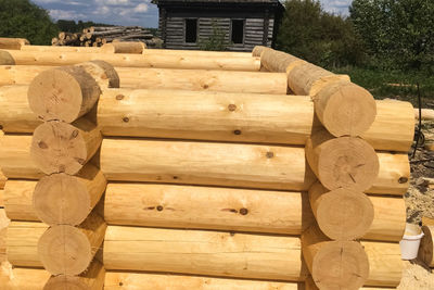 Stack of logs in forest