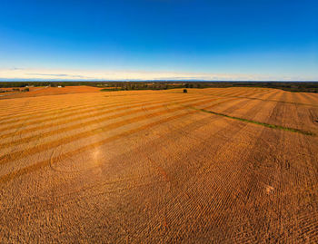 Scenic view of agricultural field against blue sky