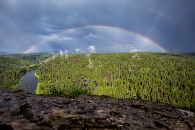 Scenic view of field against rainbow in sky