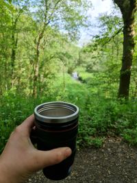 Cropped image of person holding drink against trees in forest