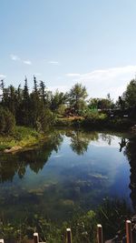 Reflection of trees in lake against sky