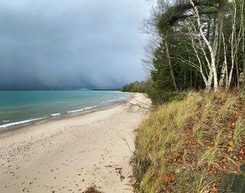 Scenic view of beach against sky