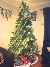 christmas tree